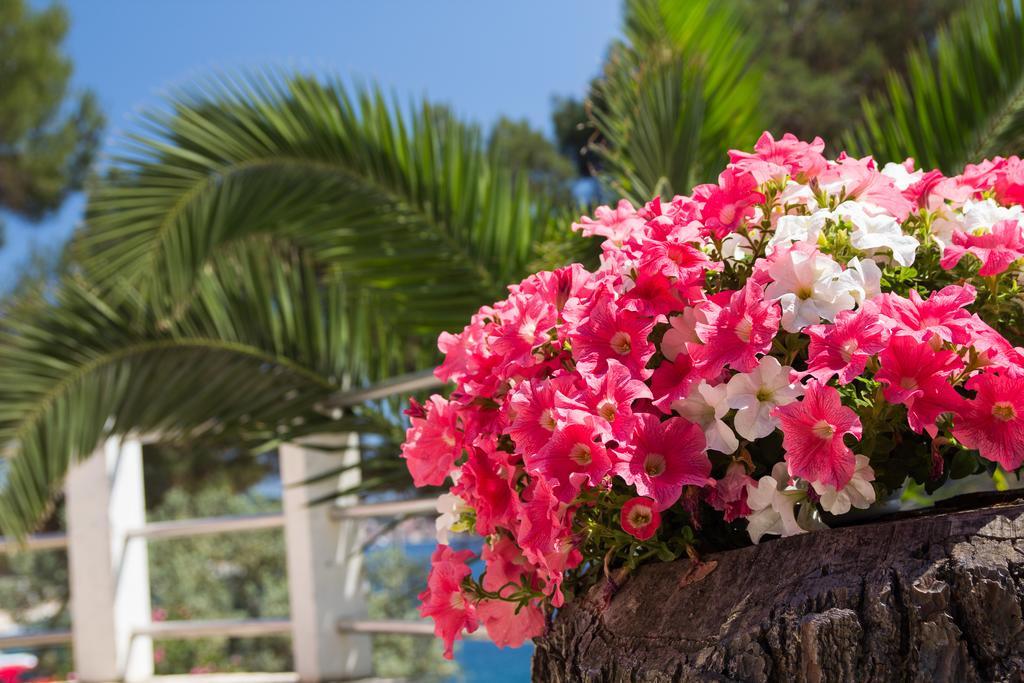 Apartments Villa Julija Mali Lošinj Zewnętrze zdjęcie