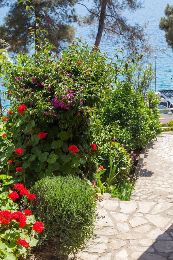 Apartments Villa Julija Mali Lošinj Zewnętrze zdjęcie